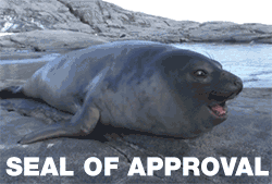 Giphy Yaaas.